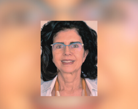 Klein, ainda: uma entrevista com Elisa Maria de Ulhôa Cintra