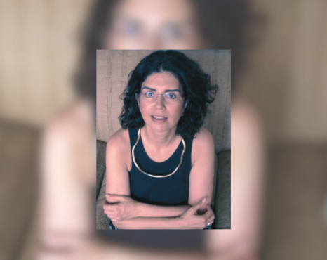 Klein, ainda: uma entrevista com Elisa Maria de Ulhôa Cintra