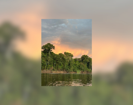 Apaixonadamente como Peri – Quando a psicanálise volta a ouvir a terra