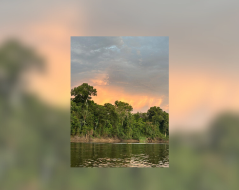 Apaixonadamente como Peri – Quando a psicanálise volta a ouvir a terra