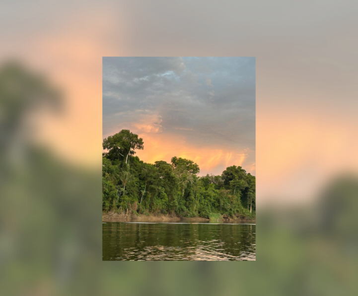 Apaixonadamente como Peri – Quando a psicanálise volta a ouvir a terra