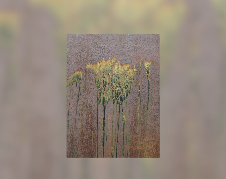 Mal-estar na natureza