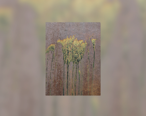 Mal-estar na natureza